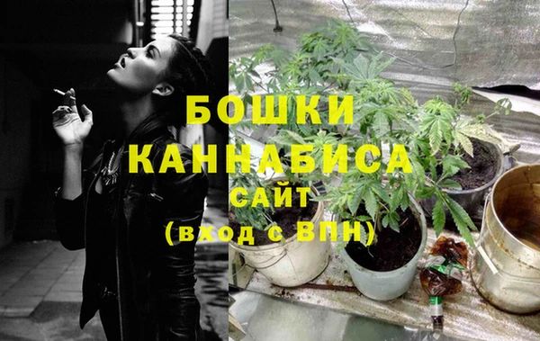 индика Абдулино